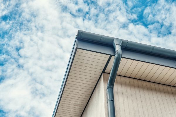 Gutter Fascia Repair in Snohomish