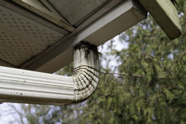 Cost of Roof Drain Replacement in Snohomish
